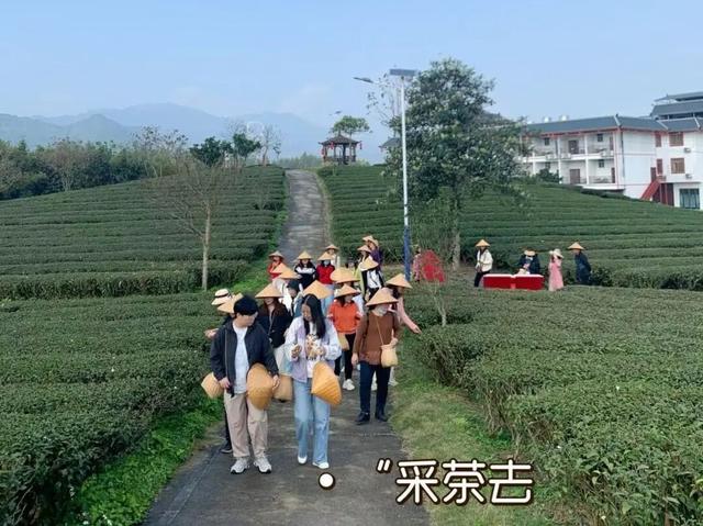 浪漫茶田，赴一场暖炉与手作的邀约~