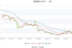海源复材：2024年上半年亏损5018.58万元图片