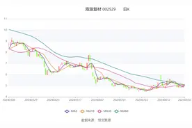 海源复材：2024年上半年亏损5018.58万元图片