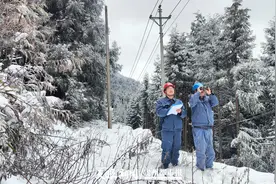 六盘水钟山供电局：踏雪巡线保供电 守护用户过新年图片