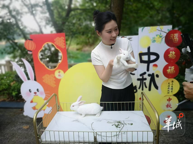 喜迎十五运，流溪河国家森林公园双节推出七大主题活动