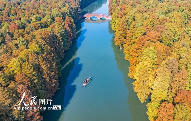 江苏兴化：湿地公园冬景如画