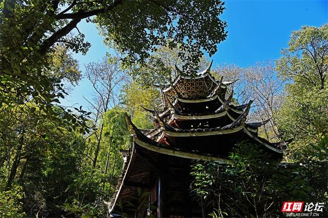 岁暖时刻丨无需远行，中坡山便是怀化的诗与远方