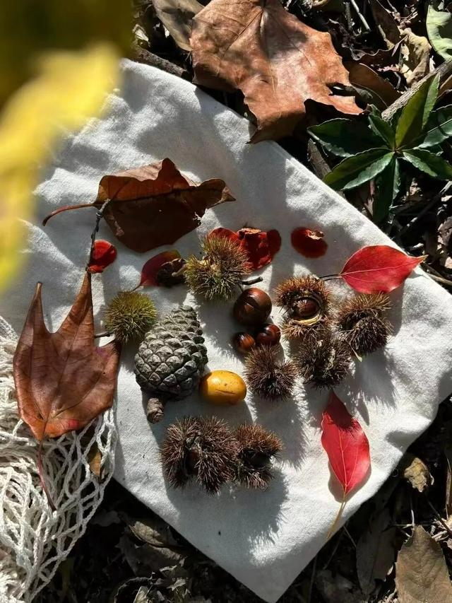 在淮安，寻找属于秋天的浪漫