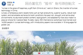 “中国草”：送给世界的礼物图片