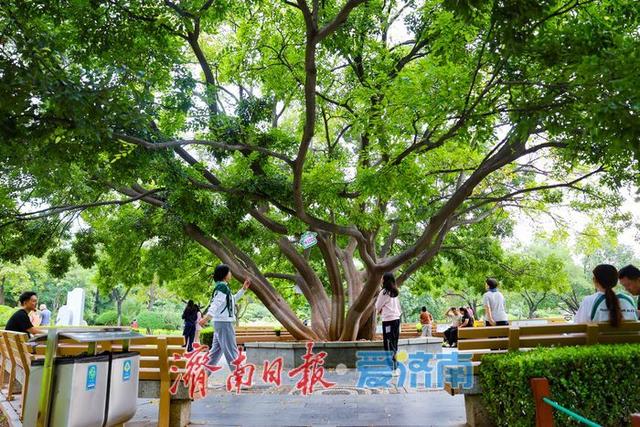 微风不燥秋意浓，泉城公园开启市民休闲露营模式