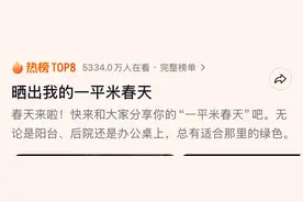 “一平米的春天”火了！年轻人把春天卷成了电子盆栽图片