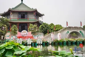图集｜广州宝墨园第四届荷风莲韵旅游文化节今日开幕图片
