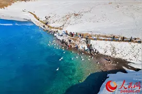 新疆赛里木湖：春至湖畔 候鸟蹁跹图片