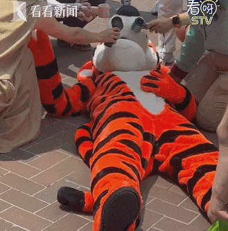 上海迪士尼突发：“跳跳虎”演员中暑晕倒