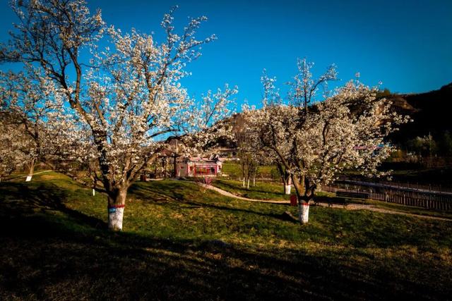 乡见中国·遇见隰县