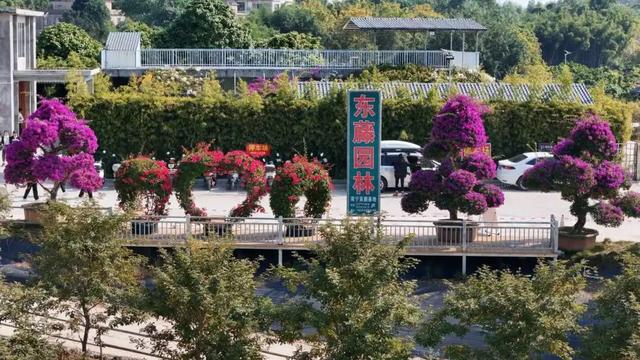 十里花卉长廊亲子游线路：邂逅自然与书香的奇妙之旅