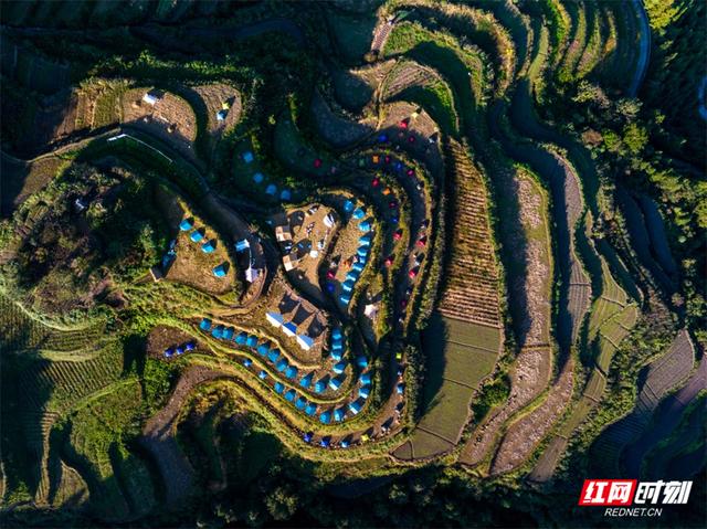 “森”呼吸·清凉“界”丨张家界堡子界：登界顶望天门，在2.6万亩林海里乘凉