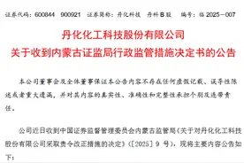 V观财报｜丹化科技内控制度不健全被责令改正图片