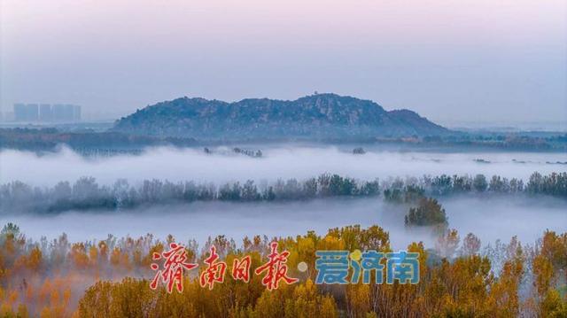 换个视角瞰济南，黄河平流雾美成“云端仙境”