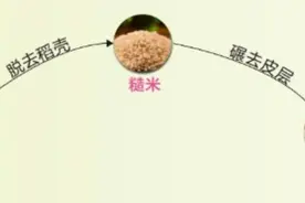 如何挑到好大米？这个内行人才知道的方法，被我们挖出来了图片