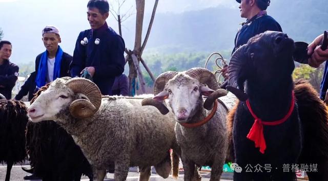 【冬季暖阳 凉山不凉】普格螺髻山非遗进景区,解锁彝历年新玩法