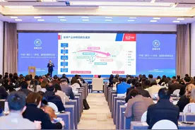 这场经贸研讨会聚焦出海东南亚图片