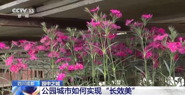 “300米见绿，500米见园” 成都打造长效发展“千园之城”