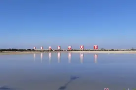 杀进米其林、远销肯尼亚！汉寿甲鱼以质量为帆破浪前行，产值过100亿元图片