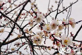 游玩攻略！日照这里太适合假期去了！图片