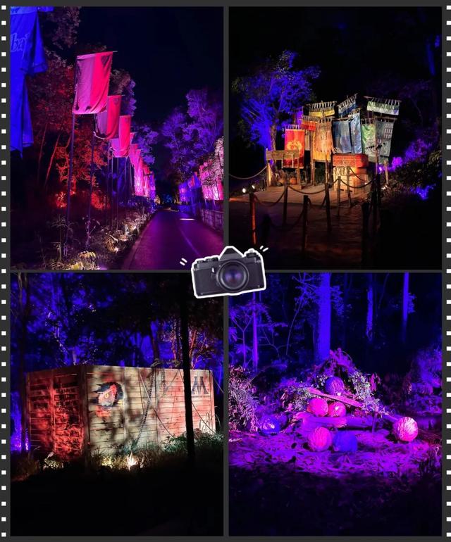 送票！每人两张