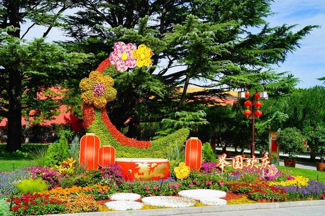 北京太庙邂逅“桂花味”秋天