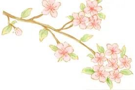 太美啦~看通江万物生花，解锁春日浪漫新视角！图片