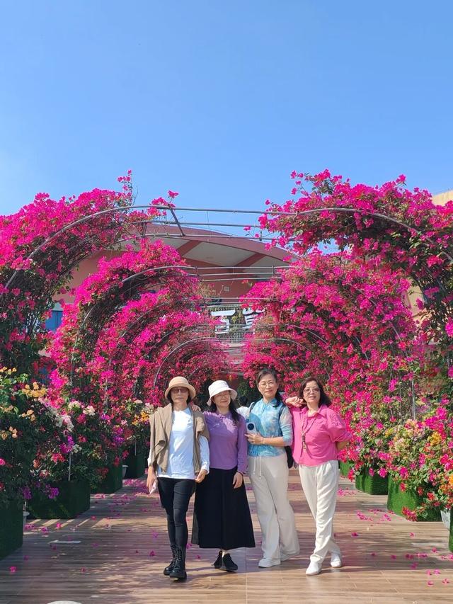 赏花撸萌宠、水果采摘、围炉煮茶……来珠海这里跨年，太精彩！