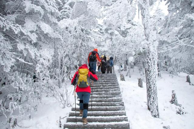 逢周末开行直通车 昆明老街、世博园可往返轿子山