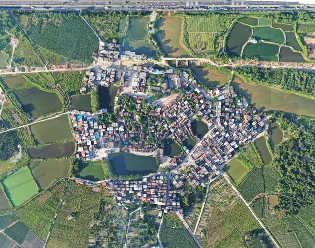 跟着村歌游增城！这个深秋，天籁乡音开启美好荔乡之旅