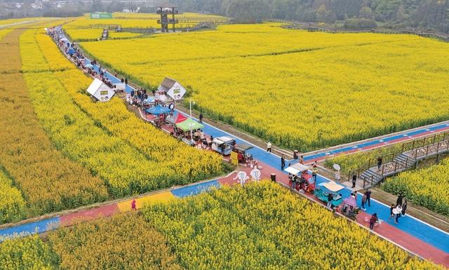 交通为脉 文旅为魂 奋力打造交旅融合“雅安样板”