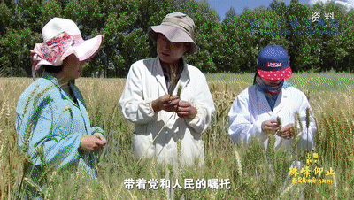 短短60年，西藏为何能跨越上千年？