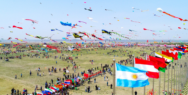 国家级荣誉，潍坊斩获三奖！