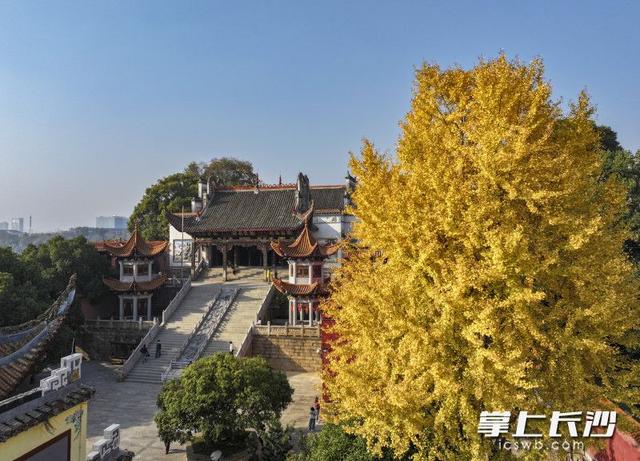 美不胜收！长沙县藏着一个五彩斑斓的秋丨组图