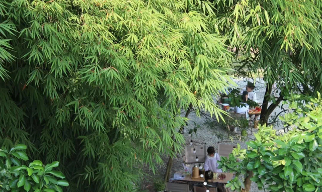 假期最后一天！来青白江这些宝藏地，助你“满血复活”~