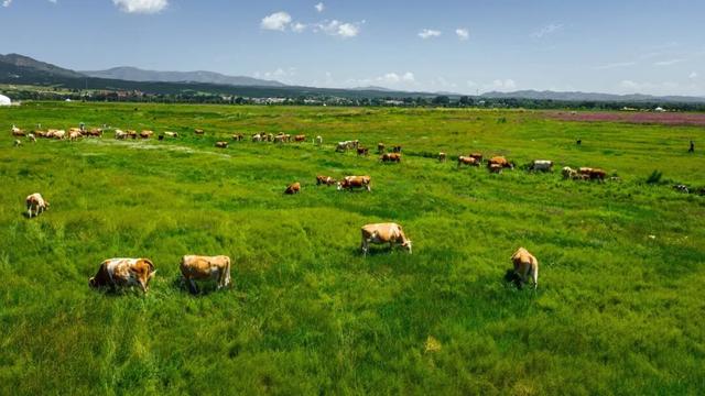 老俞闲话｜内蒙古之旅（第10-12天）