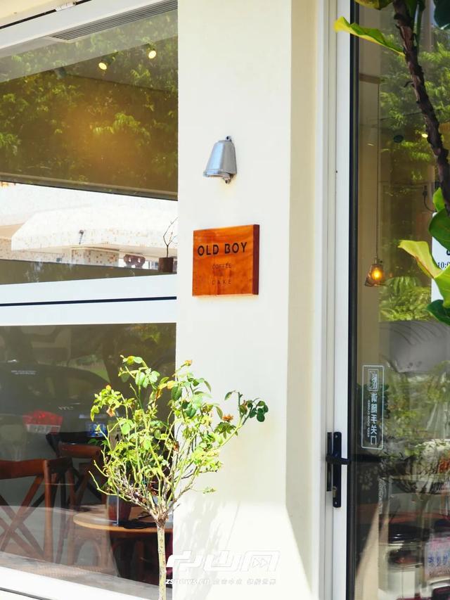 千万粉丝博主打卡中山花海：好美！