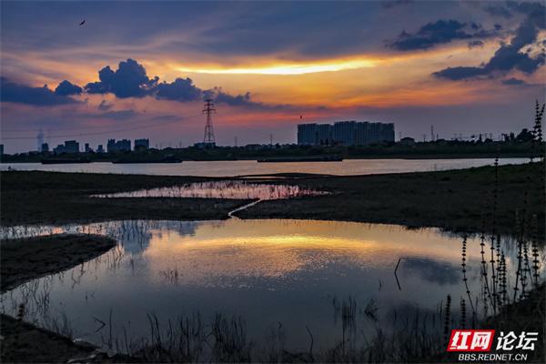 推窗何必远行？益阳十洲公园，坐收泼墨晚霞的天地馈赠