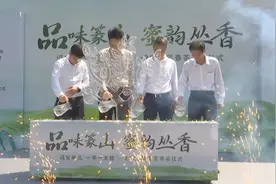 打造成富民强县金名片 2025年“诏安单丛”春茶开采图片
