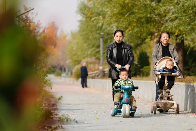 漫步街头巷尾，寻找冀南新区独有的初冬韵味