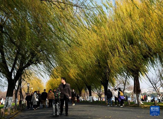 “三九”游西湖