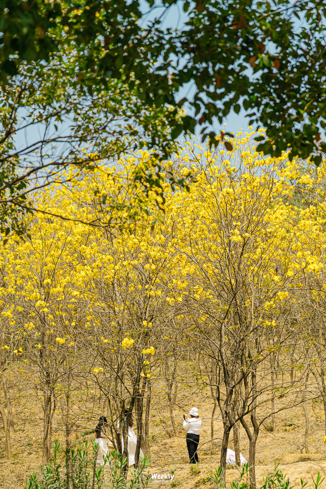 没人觉得龙岗的能量场很高吗？