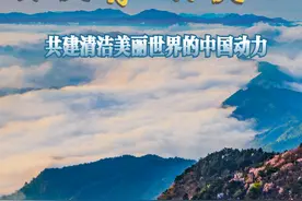 特稿丨不负青山不负人——共建清洁美丽世界的中国动力图片