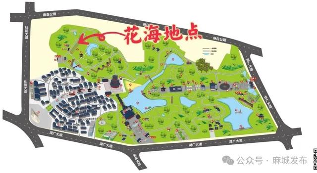 金秋焕彩迎客来！孝感乡文化园花海盛放，邀您寻根“老家麻城”
