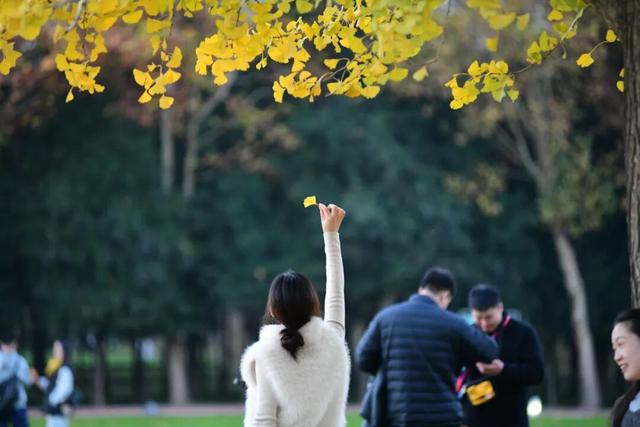 美翻了！邢台达活泉初冬限定“色彩盛宴”