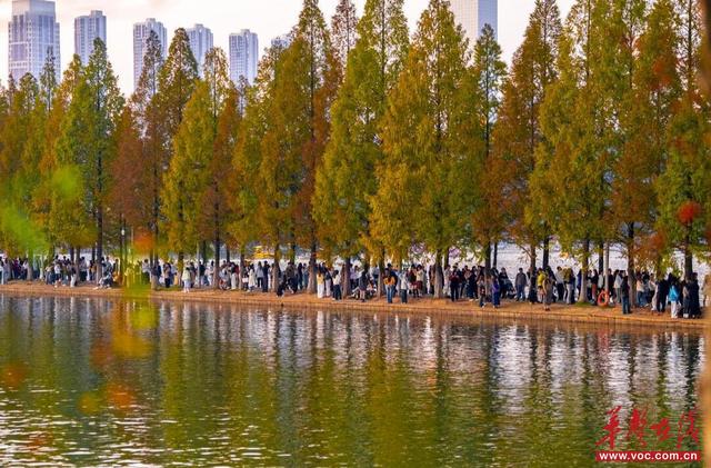 跟着“湘超”去旅行！这条周末游线路，解锁长沙冬日浪漫