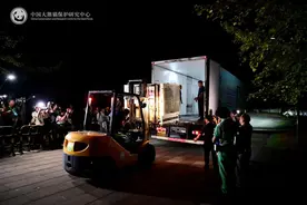 大熊猫“安安”“可可”从都江堰出发 今日抵达香港图片