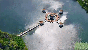 火爆全网！“活力大湾区，魅力新肇庆”！听我的，就这样宣传→