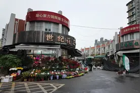 水仙上市啦！价格多少？记者实探→图片